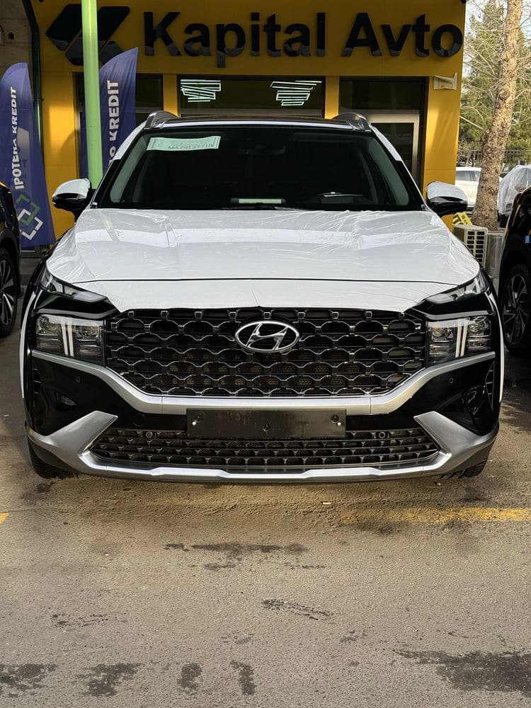 Hyundai Santa Fe 2022 — 1