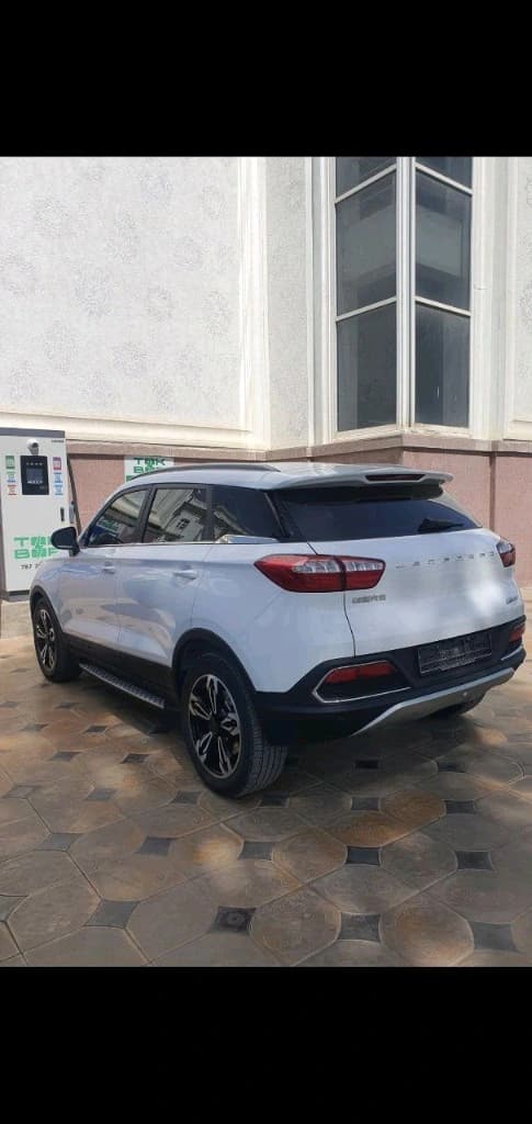 Leapmotor S01 2019