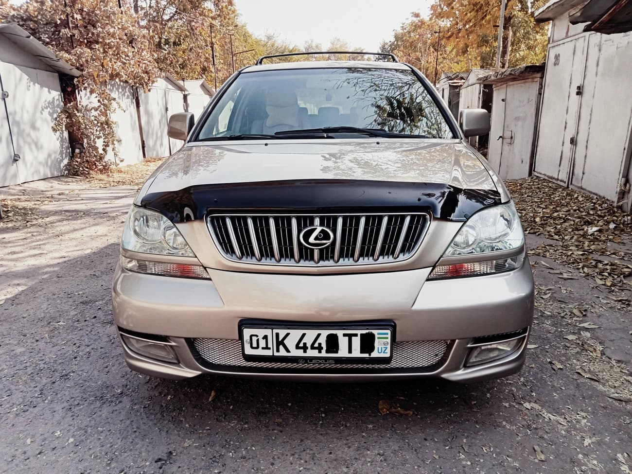 Lexus RX 2002 — 1