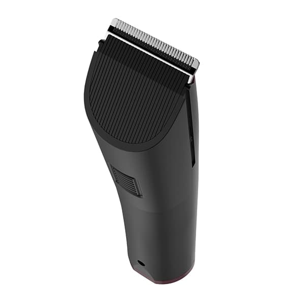 BQ TR1005 Burgundy trimmeri — 4