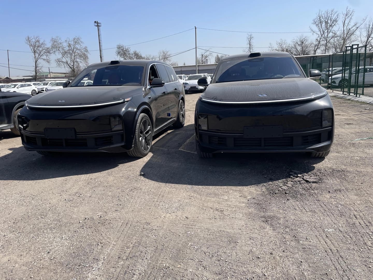 ЛиСян L9 2024 — 2