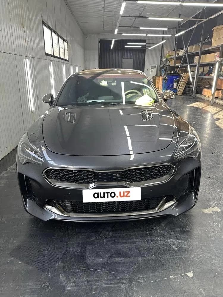 Kia Стингер 2019 — 3