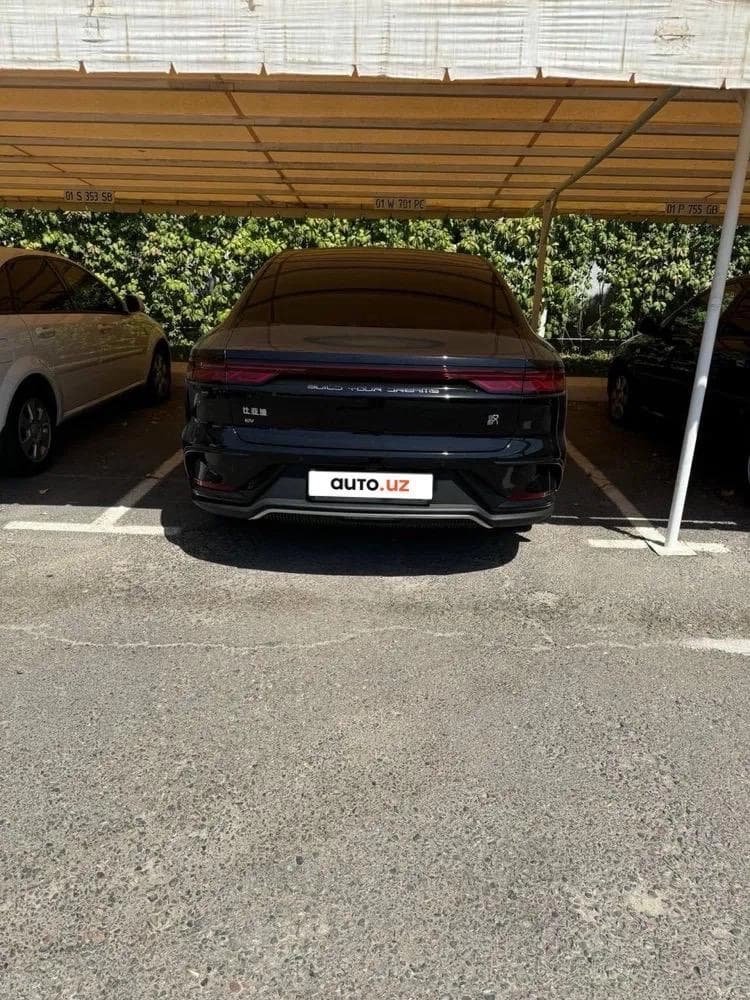 BYD Han 2024 — 6