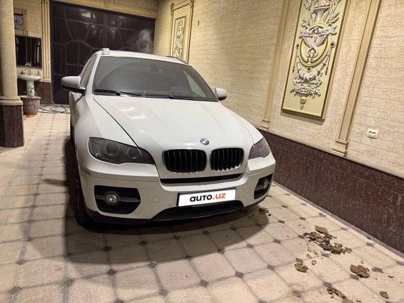 BMW X6 2010 — 3
