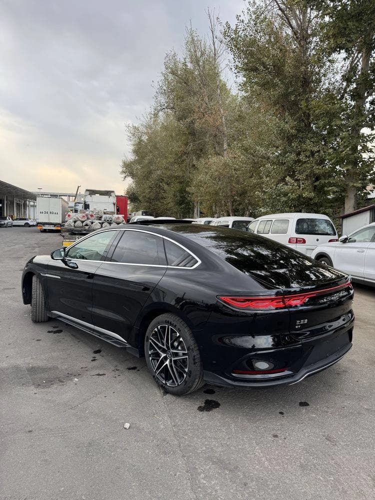BYD Han 2024 — 6