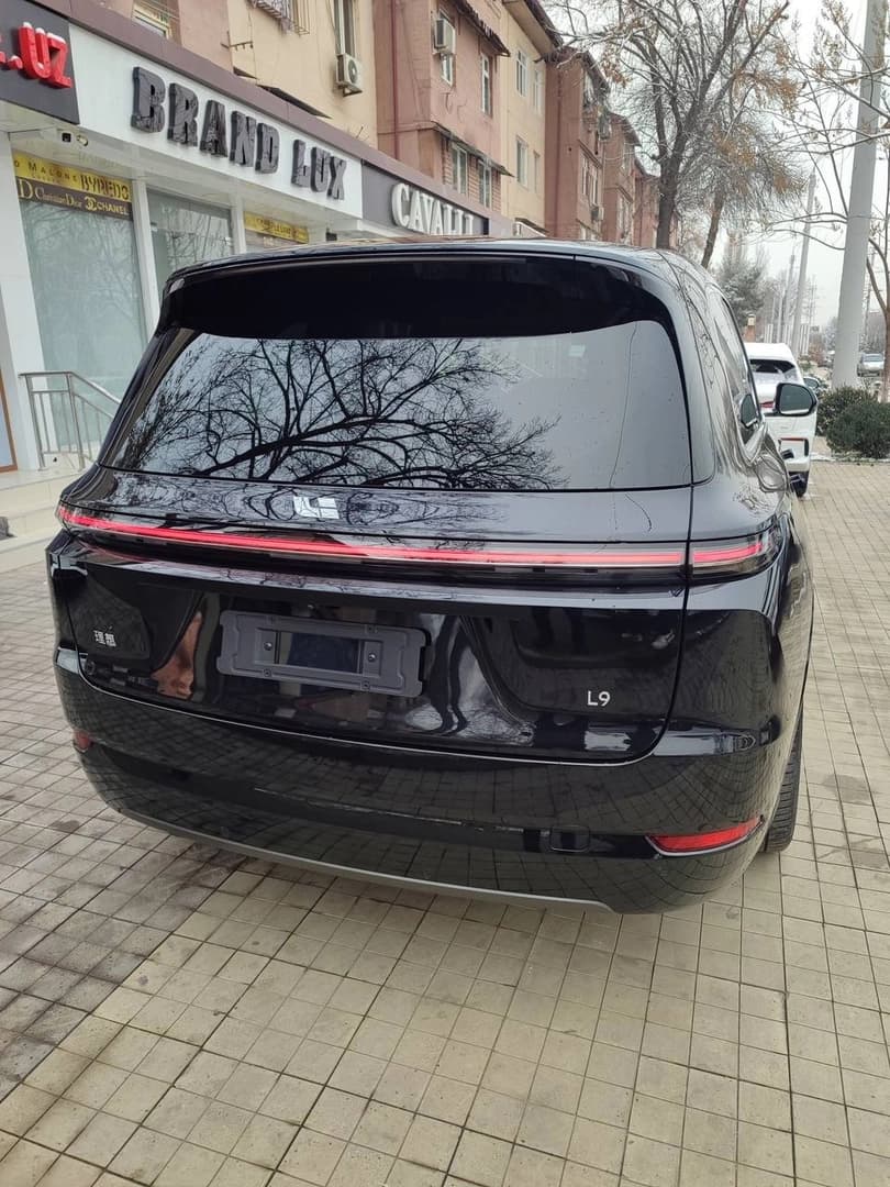 ЛиСян L9 2024 — 4
