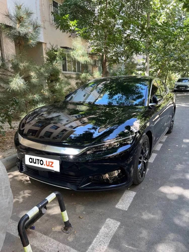 BYD Han 2022 — 3
