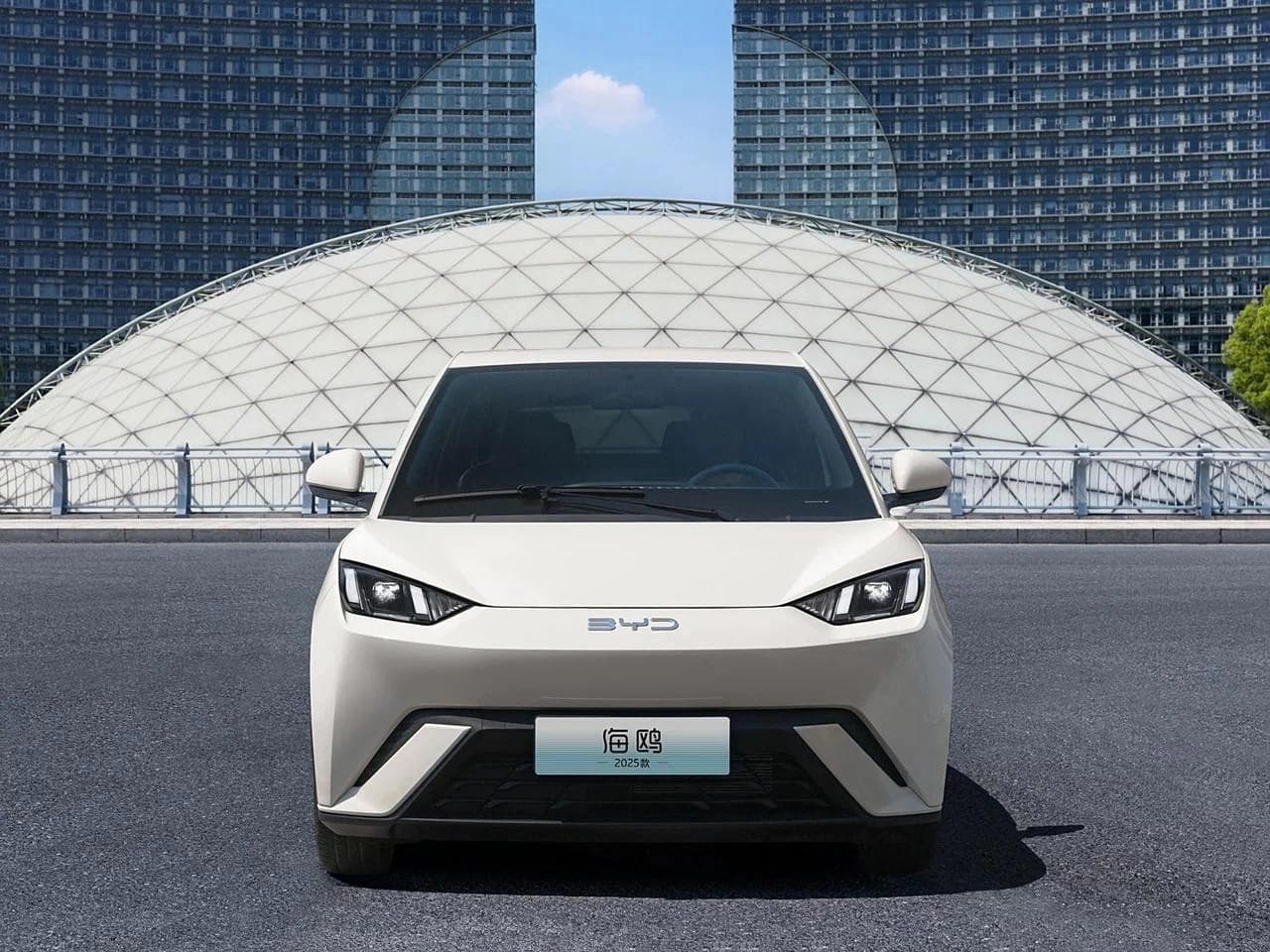 BYD Сигал 2024 — 7