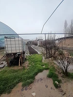 Чорвоқ ташкент трассасы ёнида арентир номер 1 беш бормоқ. Срочно новли сотилади. Кочамиз асфальт. Бохоси сотиги 7000дан. — 8
