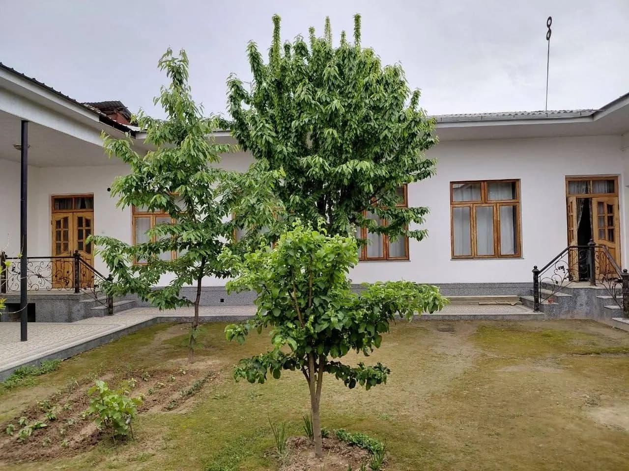 Olmazor karima — 1