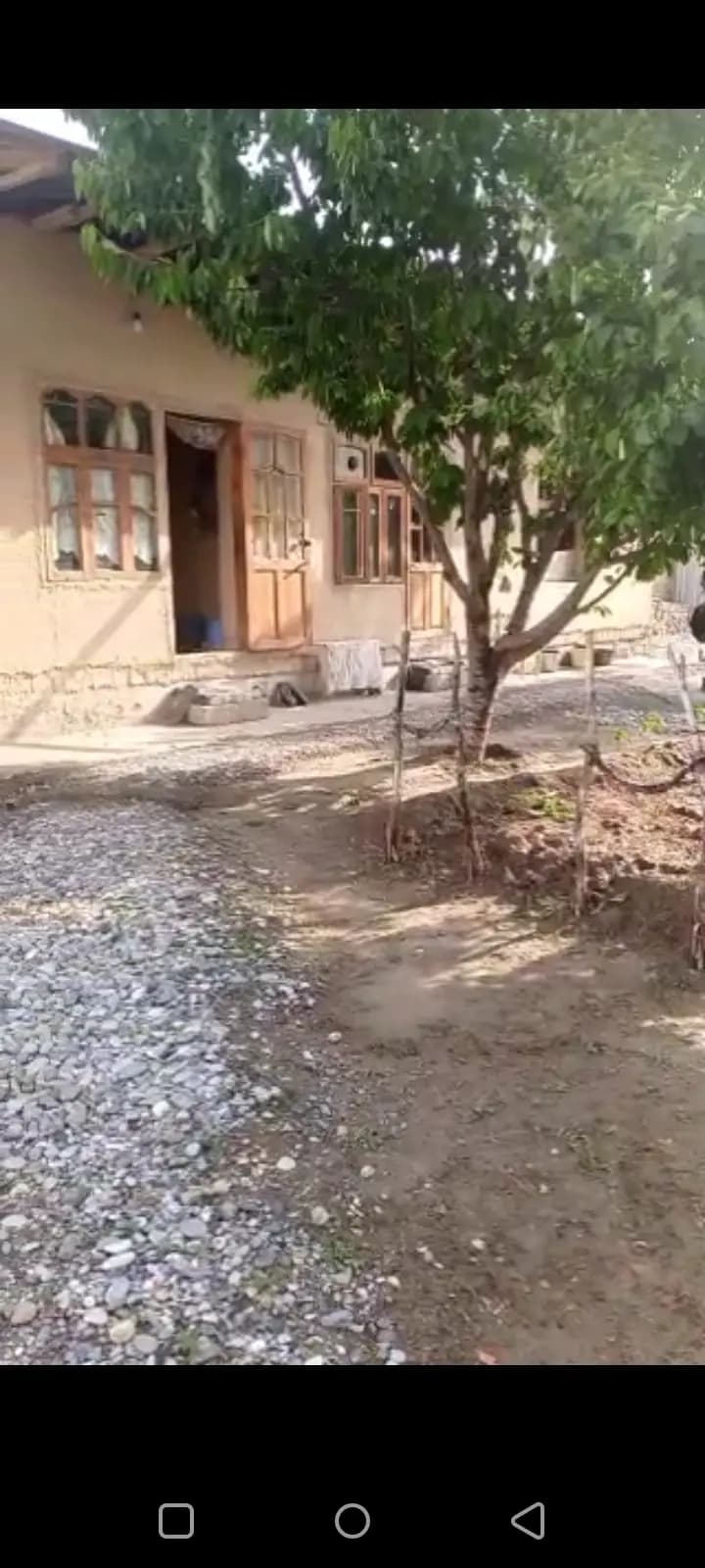 Yashil diyor MFY — 3
