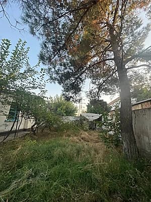 Yuqori chirchiqda hovli ijaraga beriladi Towkentdan 15 minutlik yol i — 5