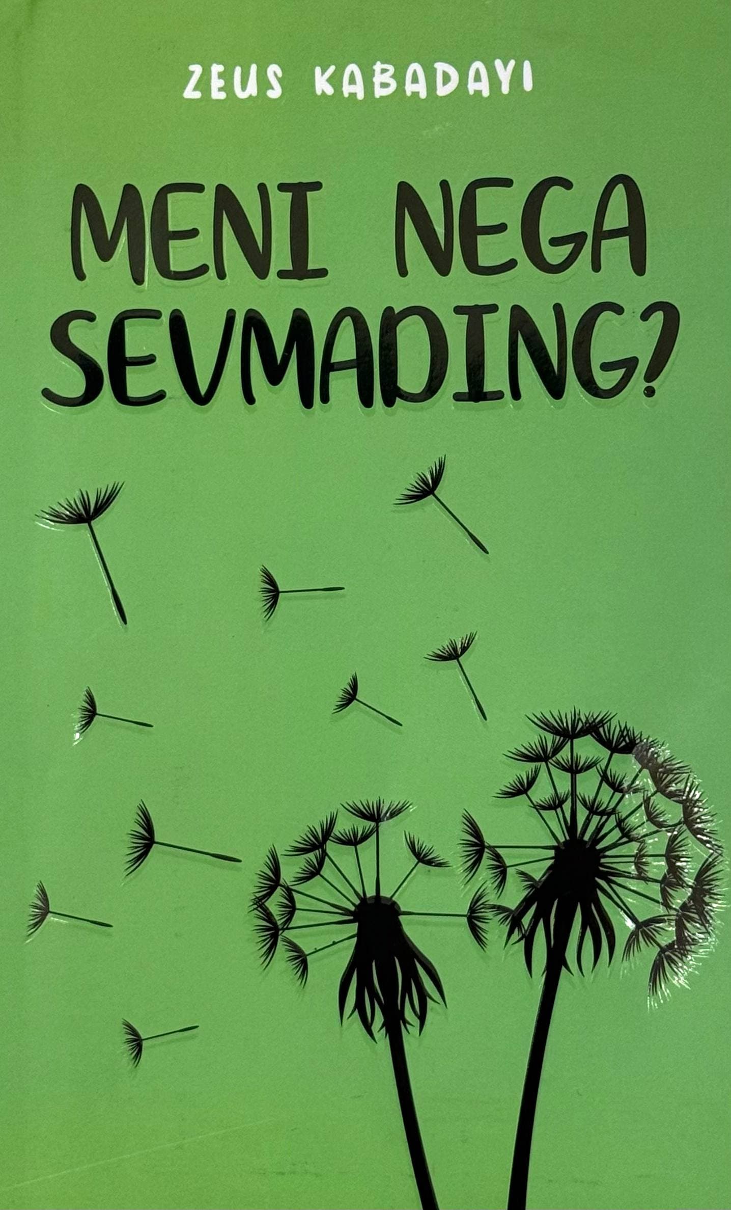 Meni nega sevmading? — 1