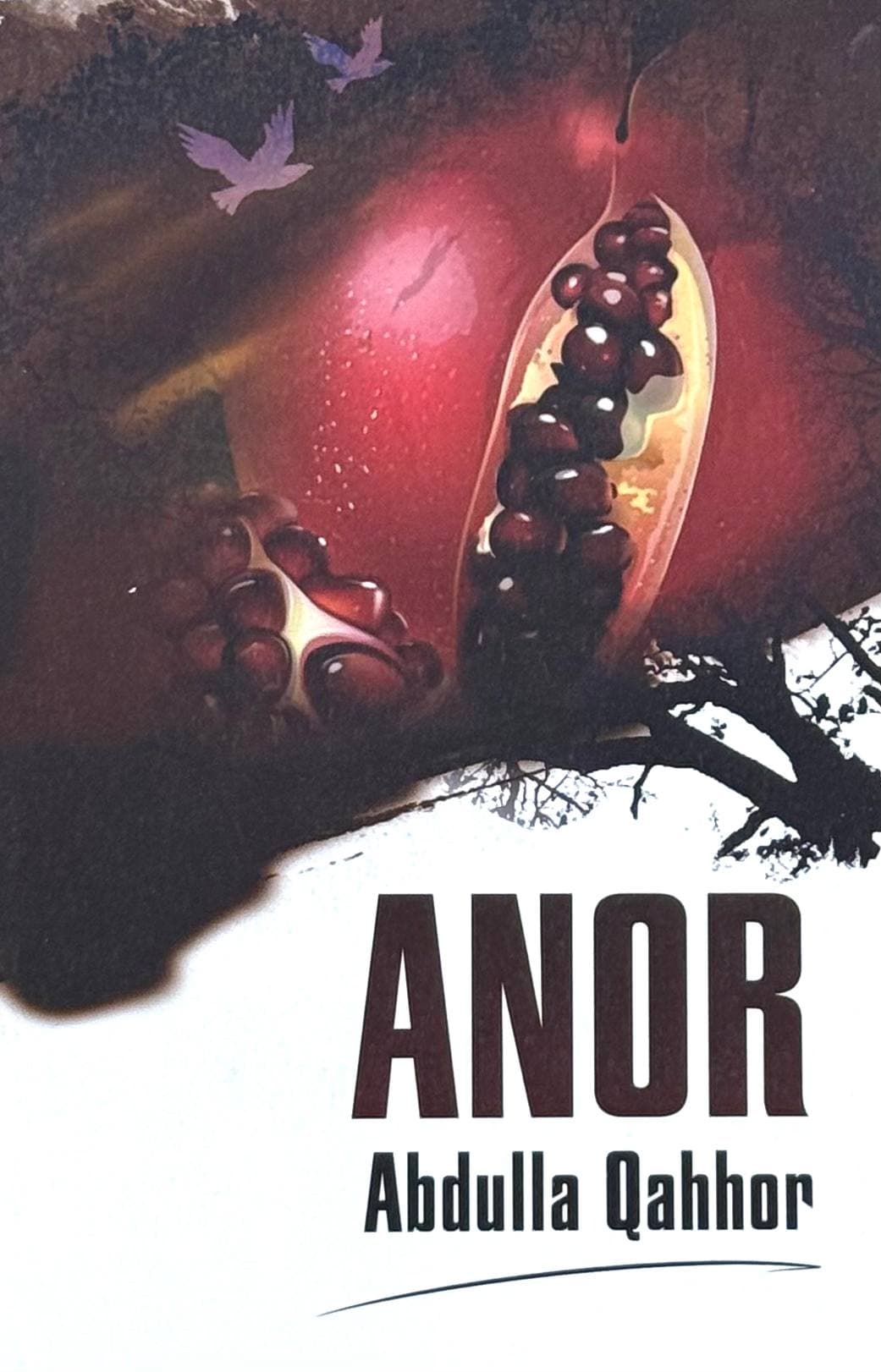 Anor — 1