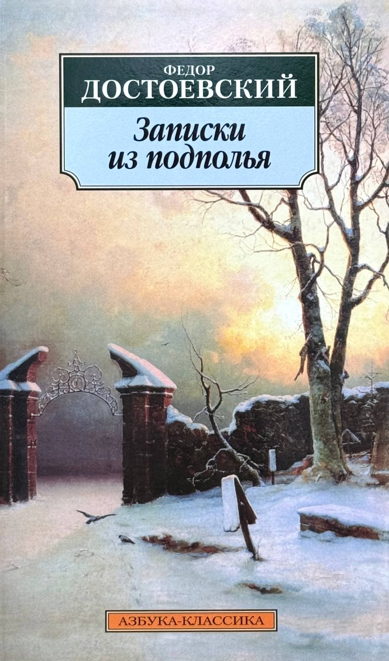 Записки из подполья — 1