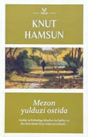 Mezon yulduzi ostida