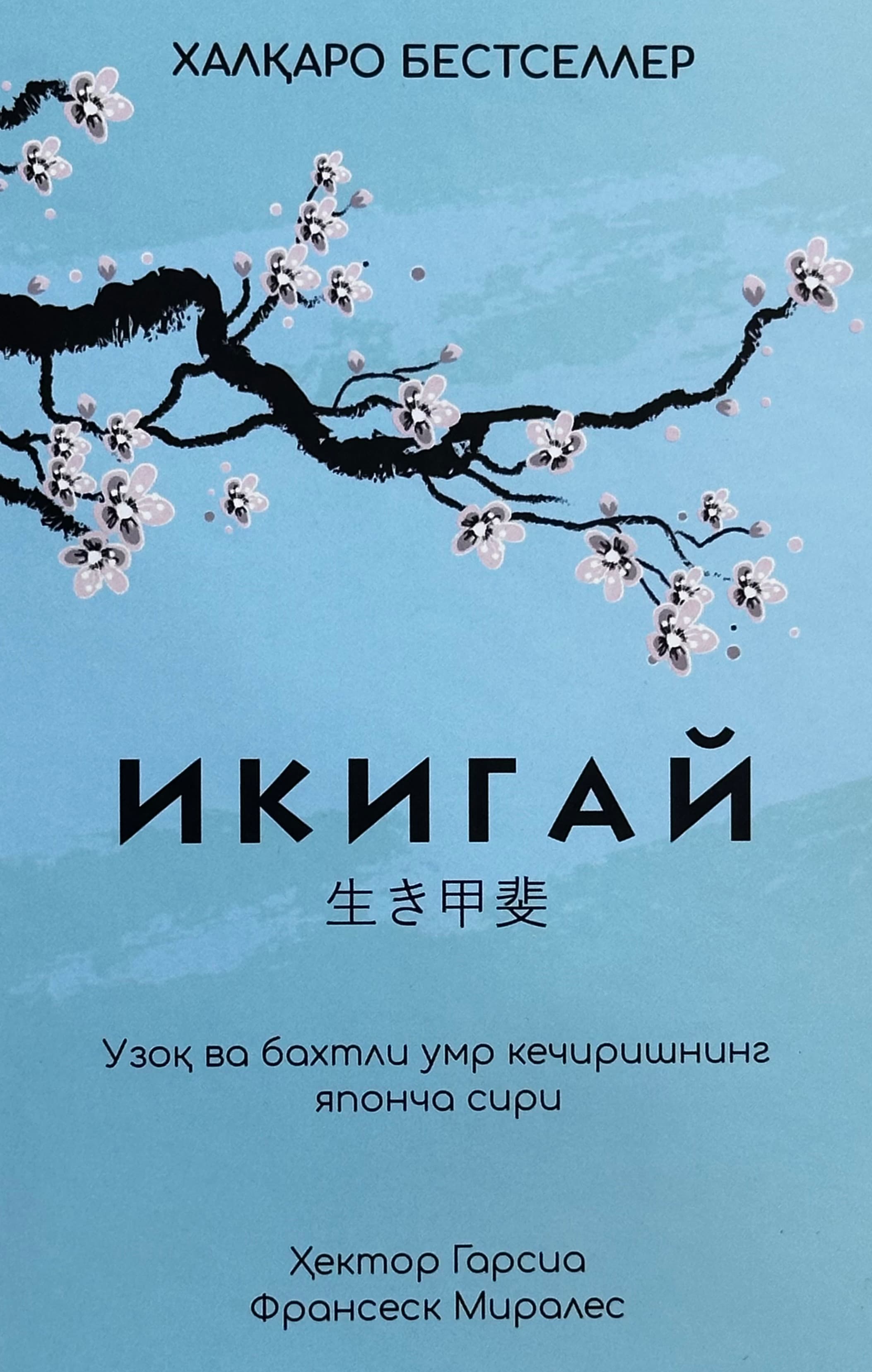 Ikigay — 1