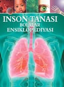 Inson tanasi. Bolalar ensiklopediyasi