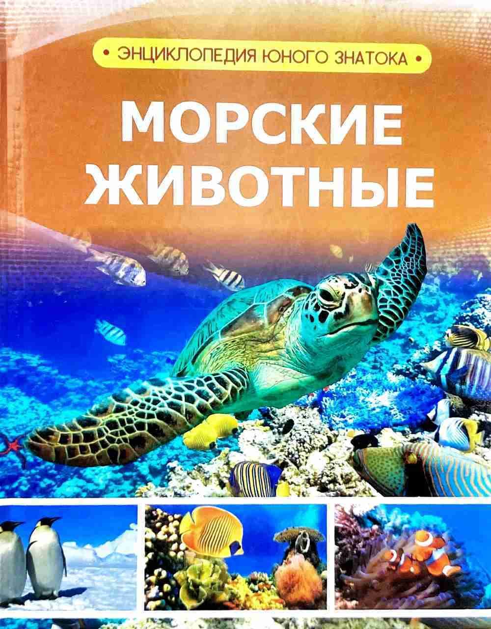 Морские животные — 1
