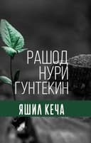 Yashil kecha
