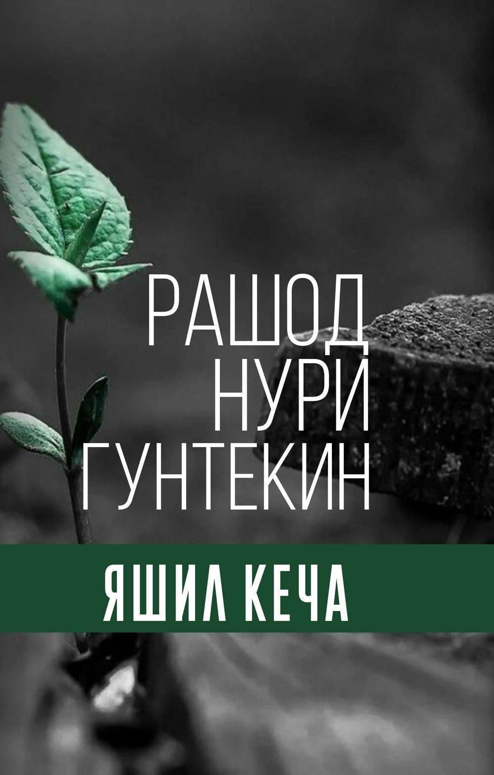Yashil kecha