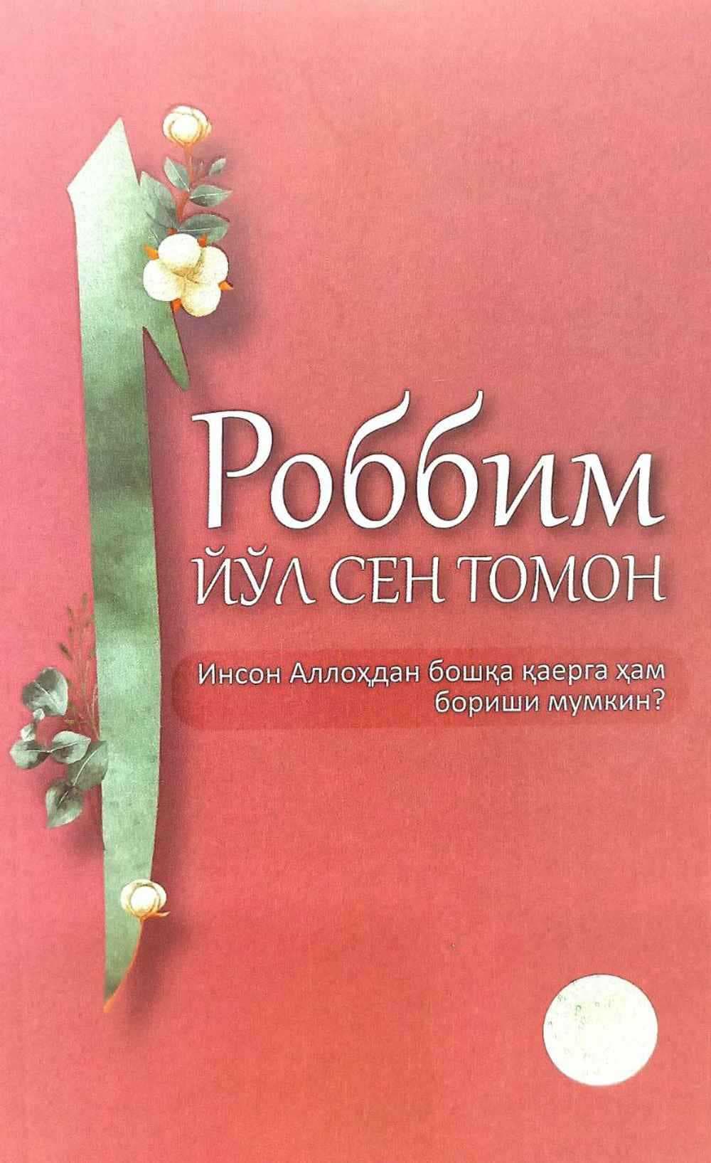 Robbim yo'l sen tomon — 1