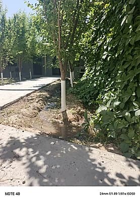 Dacha 6 sotix srochna — 2