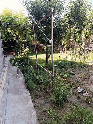 5 sotu 9 maktab torisidan 200 metr kirganda — 5