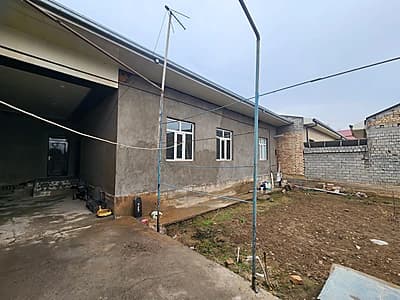 Uchqaxramonda qashqarlik — 7