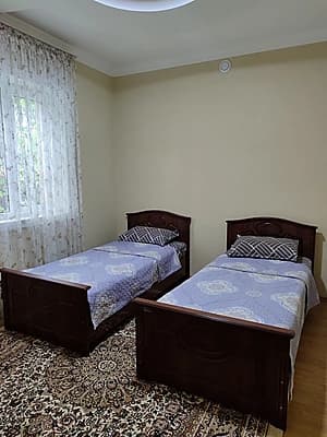 Dacha Manzara — 8