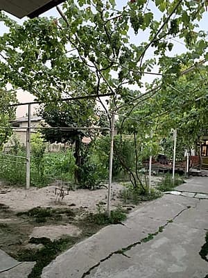 Uy sotiladi yer hisobida 1 sotigi 60 000 y.e. dan — 4