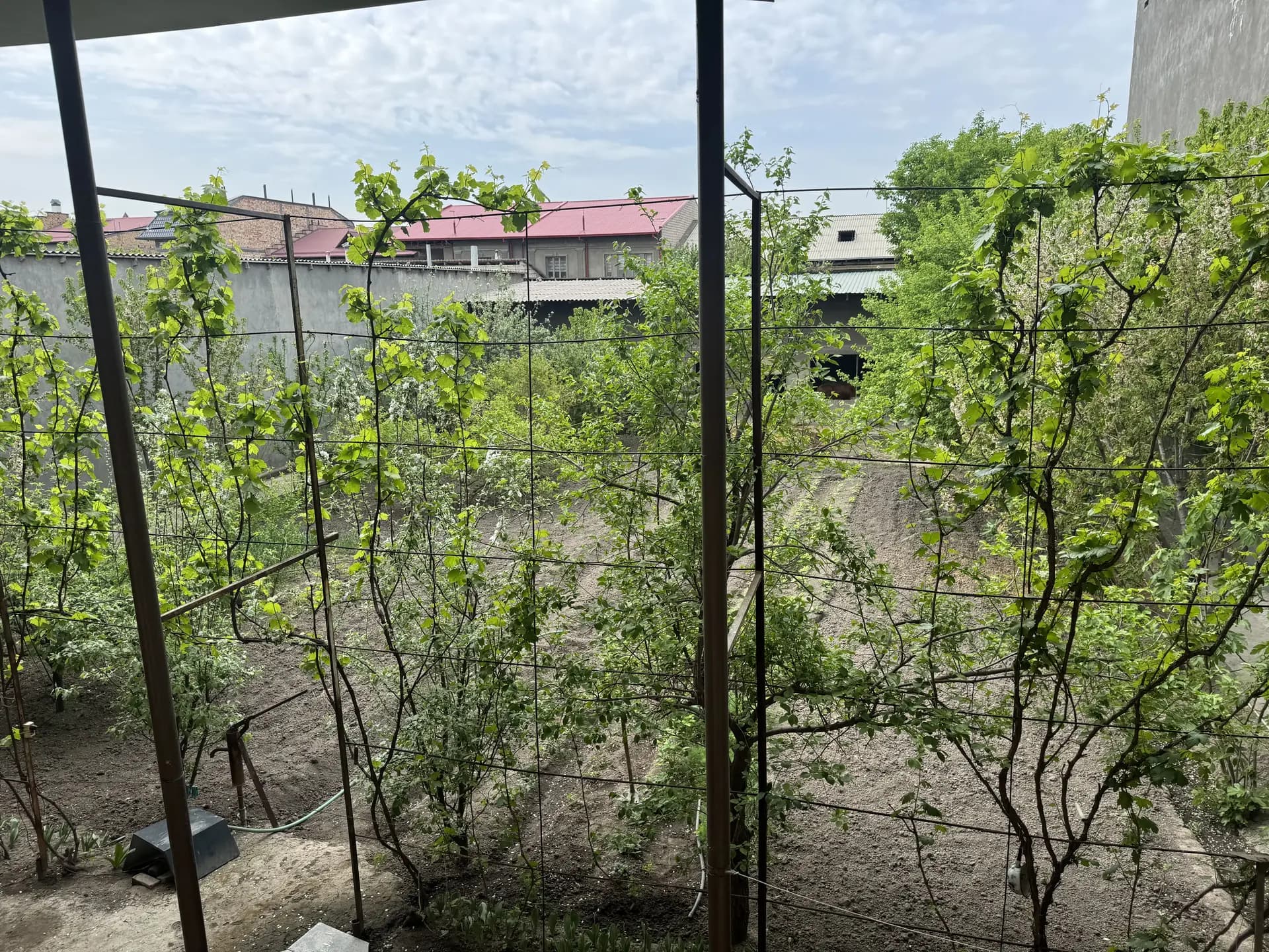 Sergiliy 8 sotih — 4