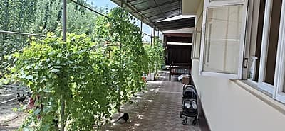 Nazarbekda uchaska sotiladi srochni — 6