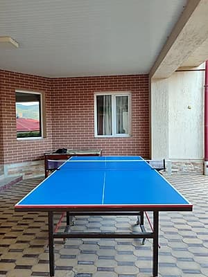 Dacha Manzara — 7