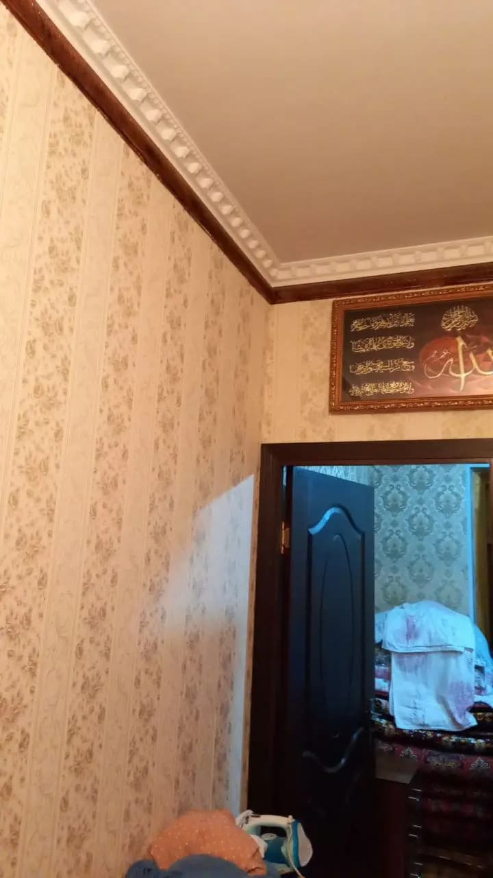 2 хонали кора камыш Аренда — 4