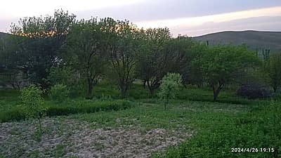 Ferma sotiladi — 2