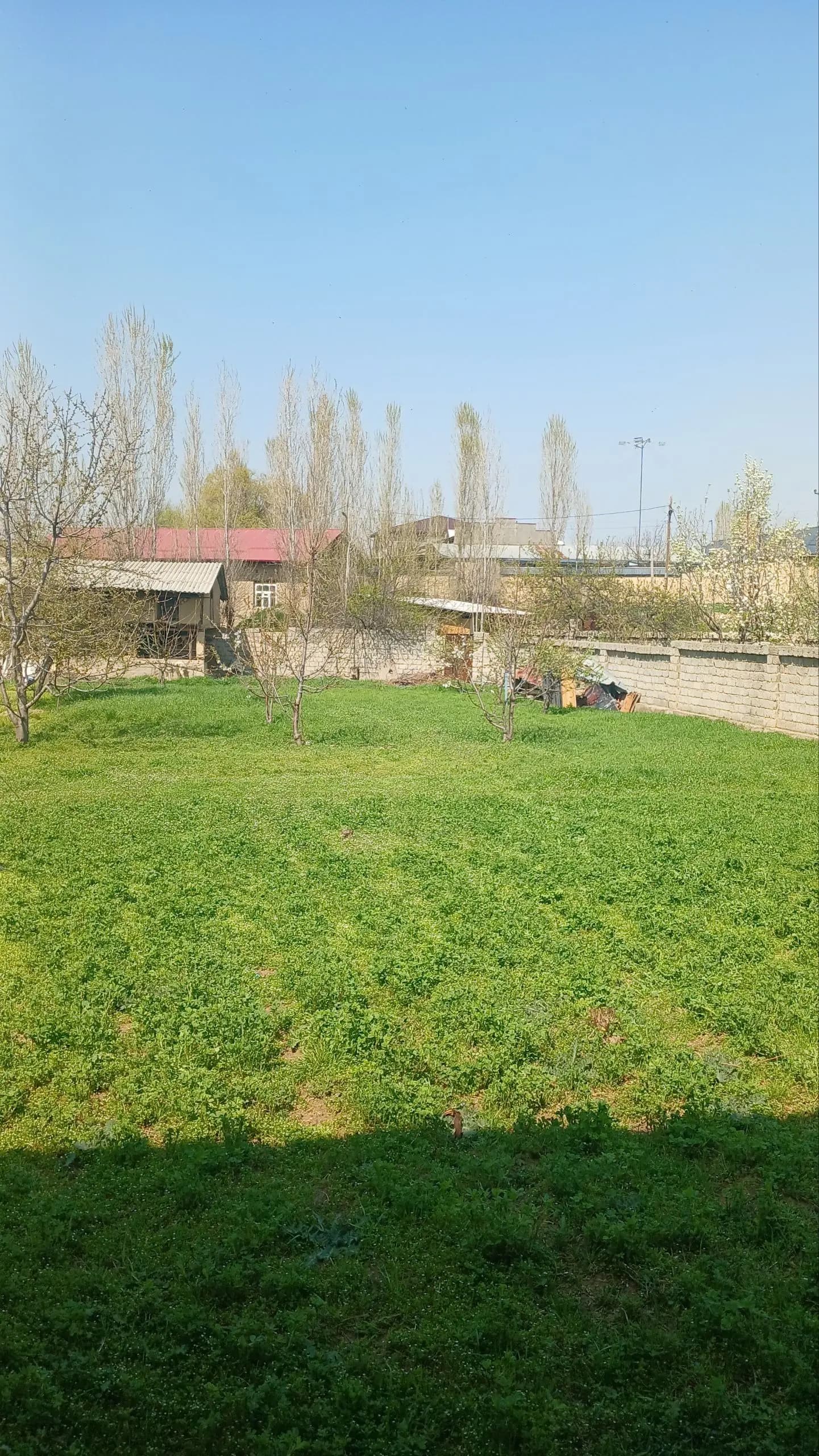 Участка сотилади зангиота 10 сотик 19900 дан — 2