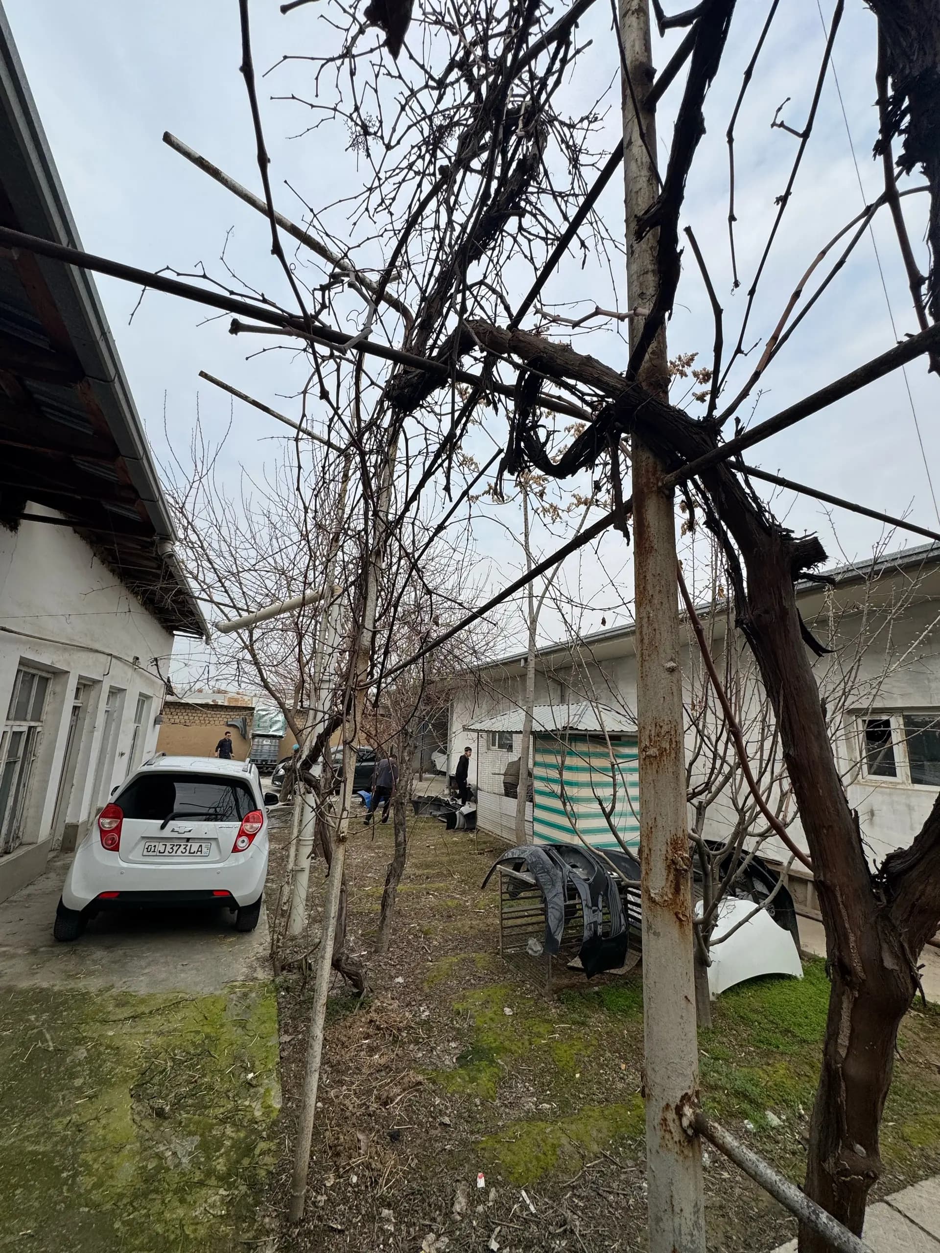 Тошми пости — 2