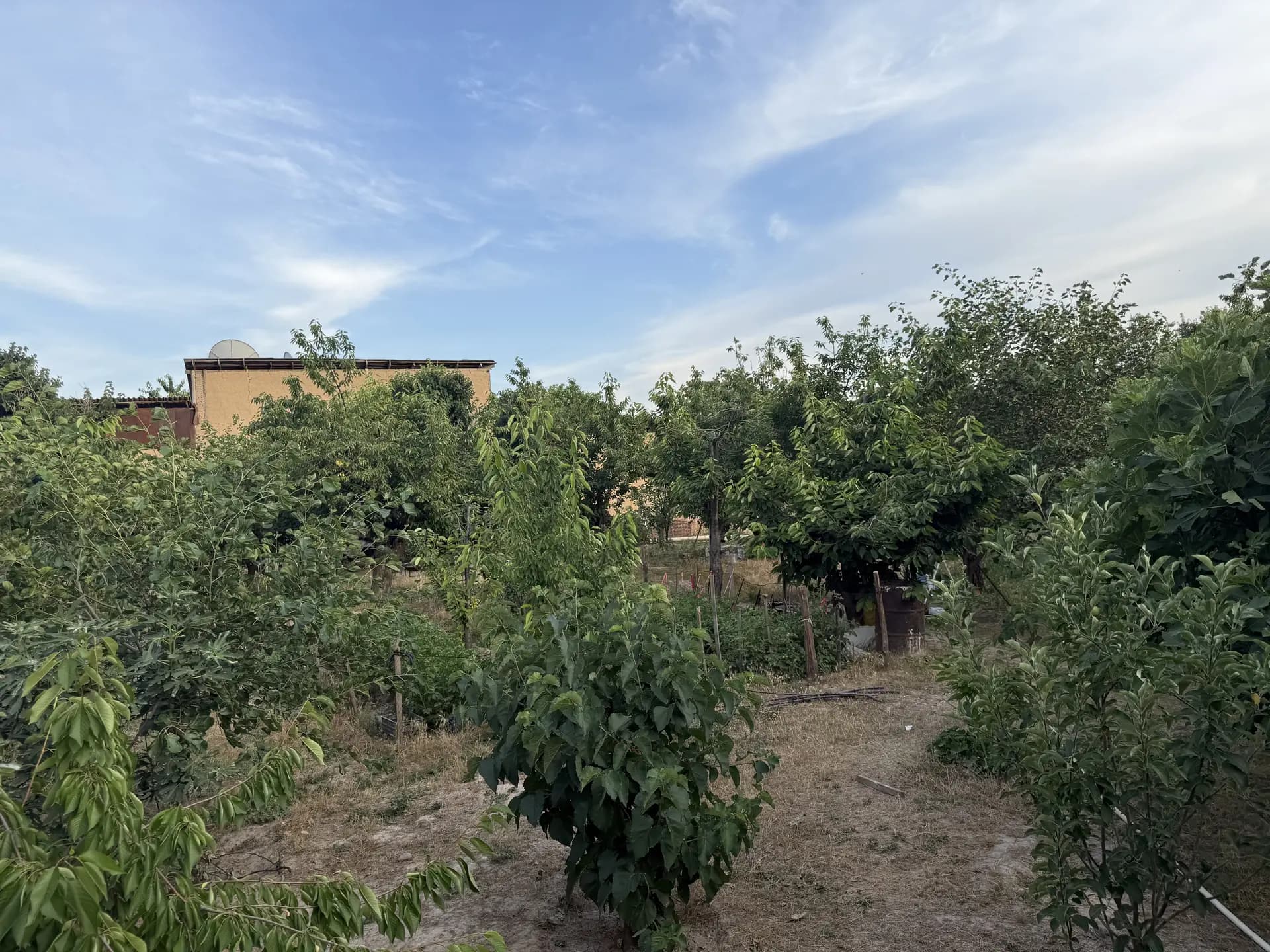 Samarqand darvoza uchastka sotiladi 20 sotok — 1