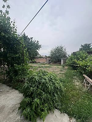 Бузсувда 6 сотих ховли СРОЧНО — 1