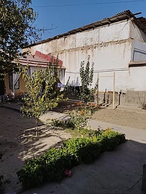 Xovli sotladi — 7
