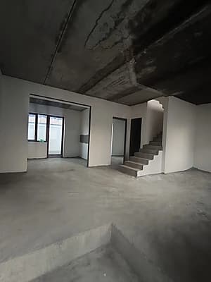 Evro kattejler — 2