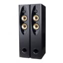 Колонки для караоке Fenda T-60X Pro (USB) 120Вт