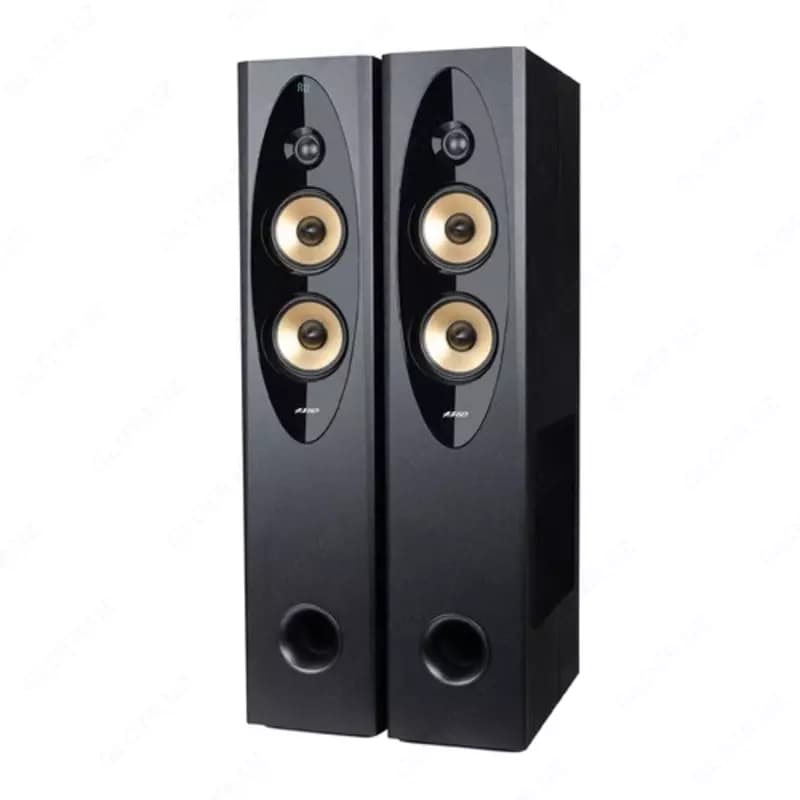 Колонки для караоке Fenda T-60X Pro (USB) 120Вт — 1
