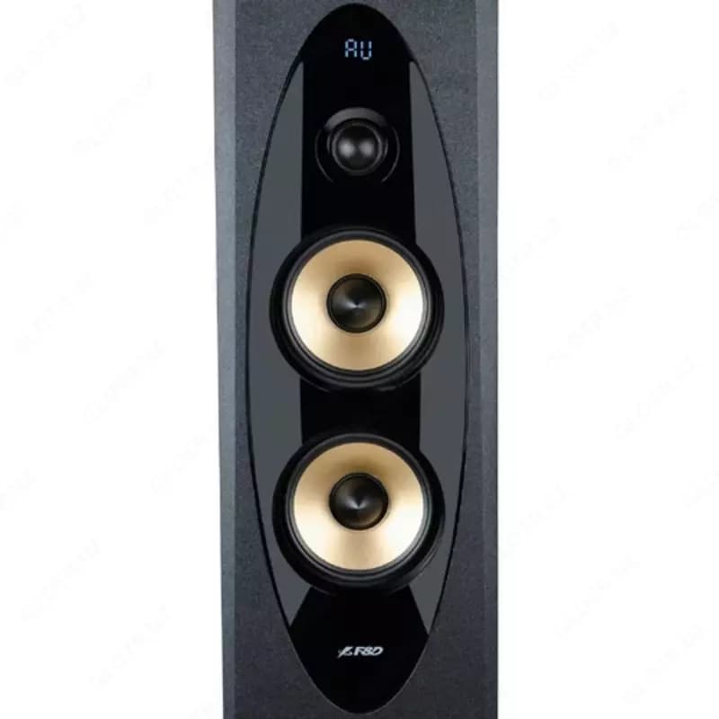 Колонки для караоке Fenda T-60X Pro (USB) 120Вт — 2