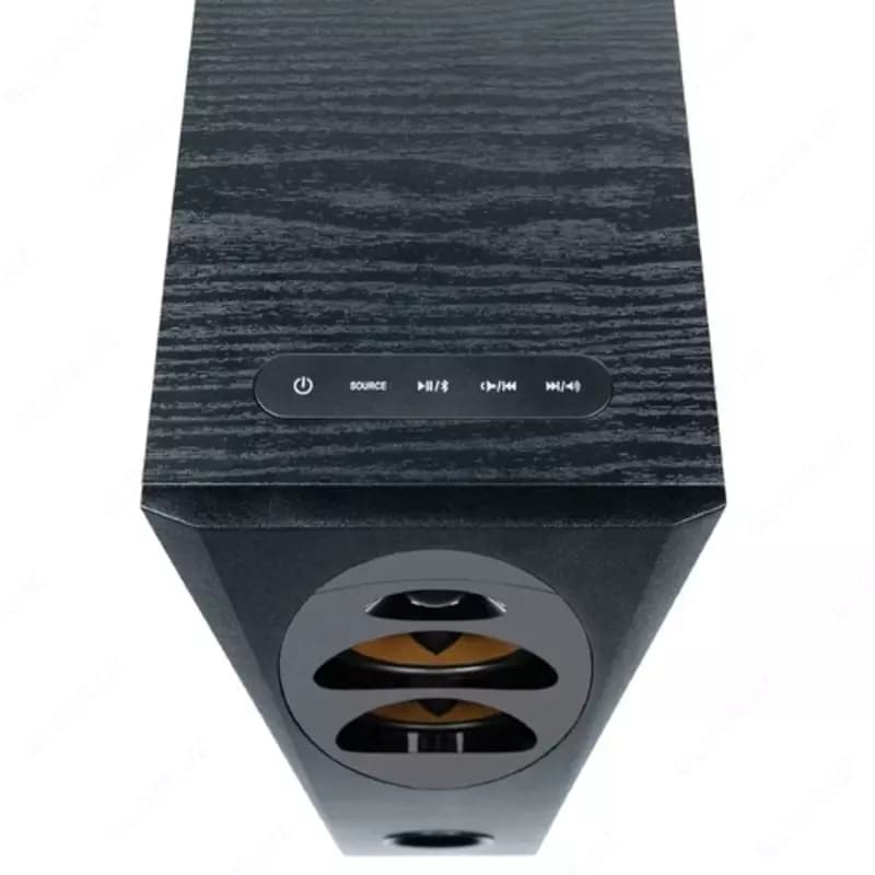 Колонки для караоке Fenda T-60X Pro (USB) 120Вт — 3