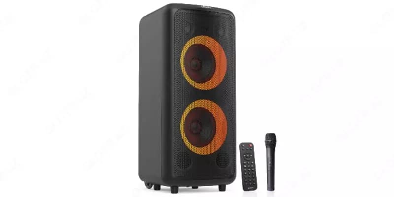 Переносная колонка Fenda PA300 (FM) 100Вт — 2