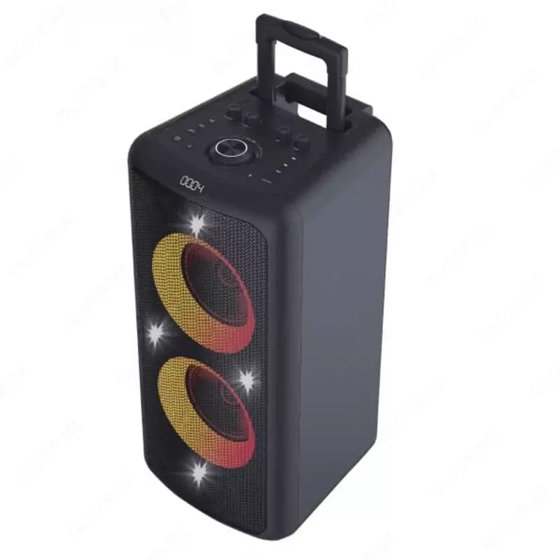 Переносная колонка Fenda PA300 (FM) 100Вт — 3