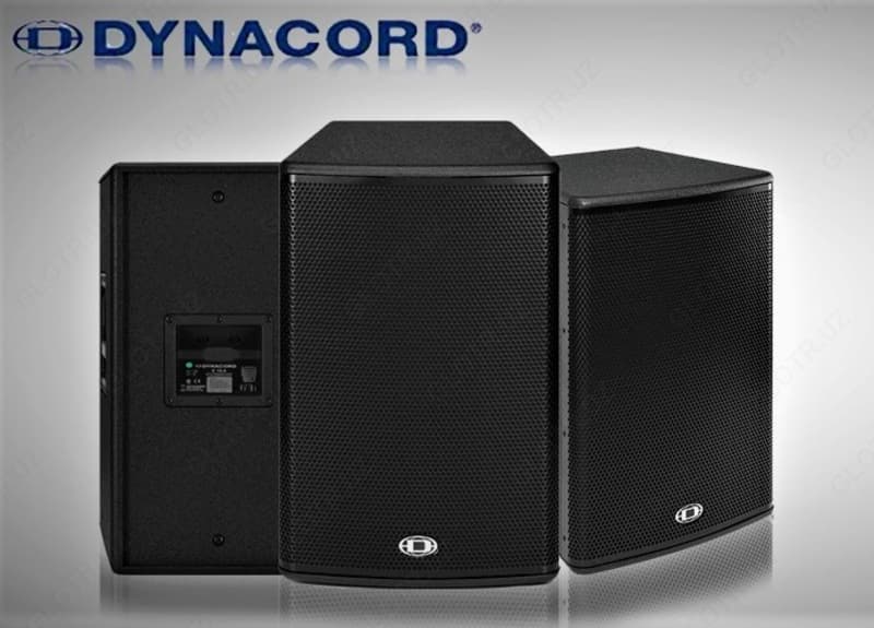 SAR Dynacord Corus-Evolution C 15.2 - пассивная колонка динамик — 2