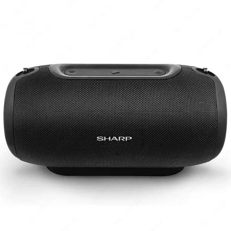 Портативная акустика Sharp GX-BT480 — 1